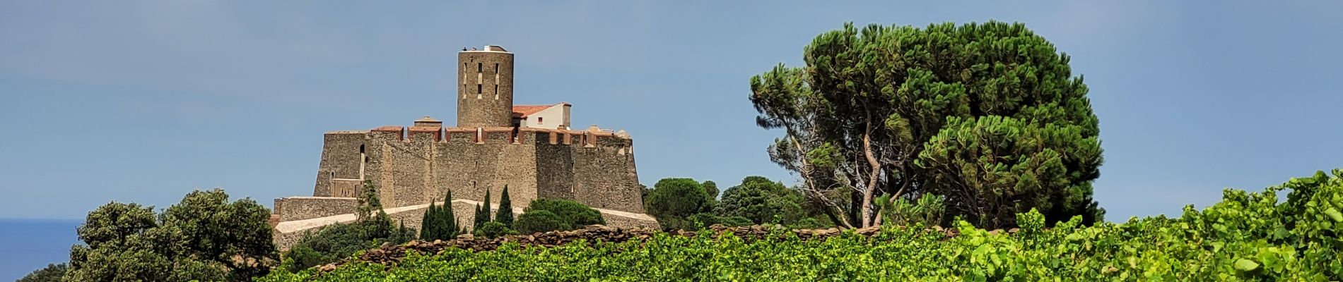 Percorso Marcia Collioure - Batteries-Puig-Les-Daines-Consolation_T - Photo