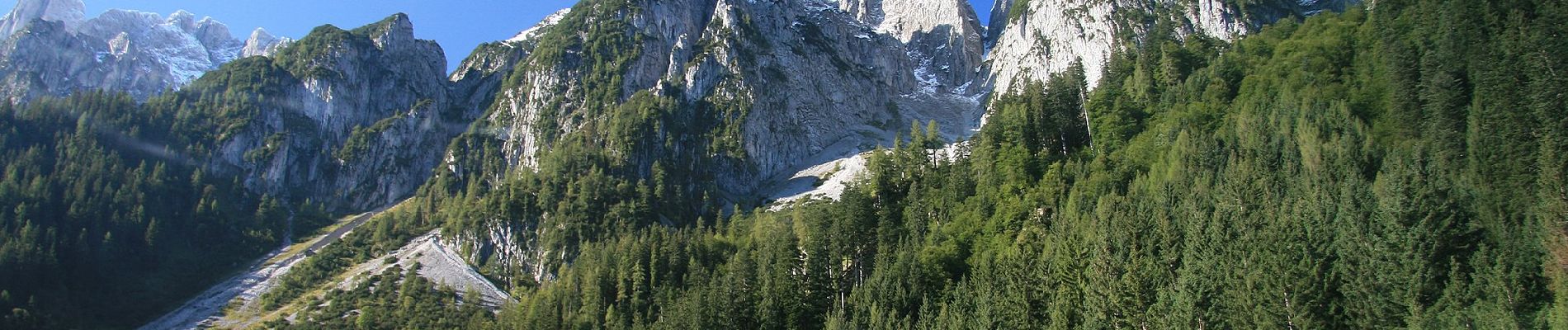 Excursión A pie Gosau - Rund um den Gosaukamm - Photo