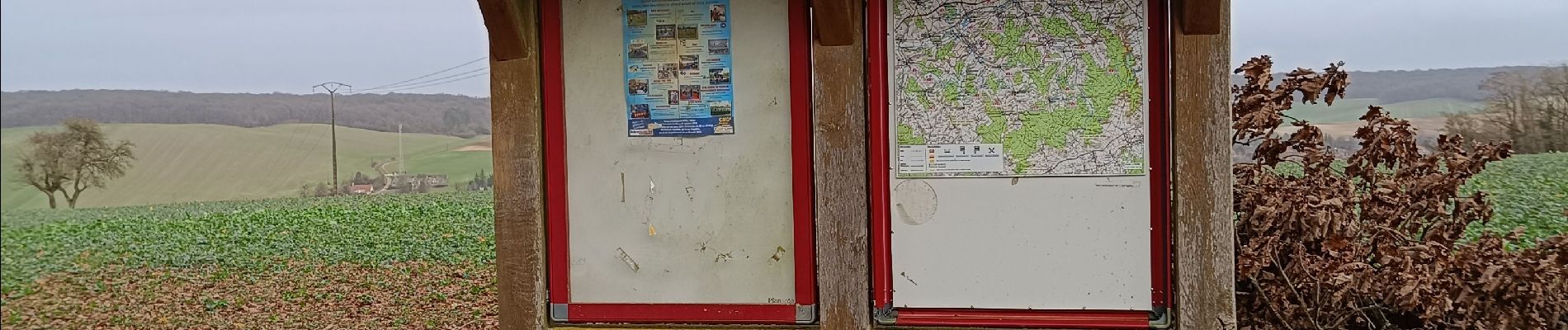 Randonnée Marche Vauchassis - Balade en forêt d'Hothe - Photo