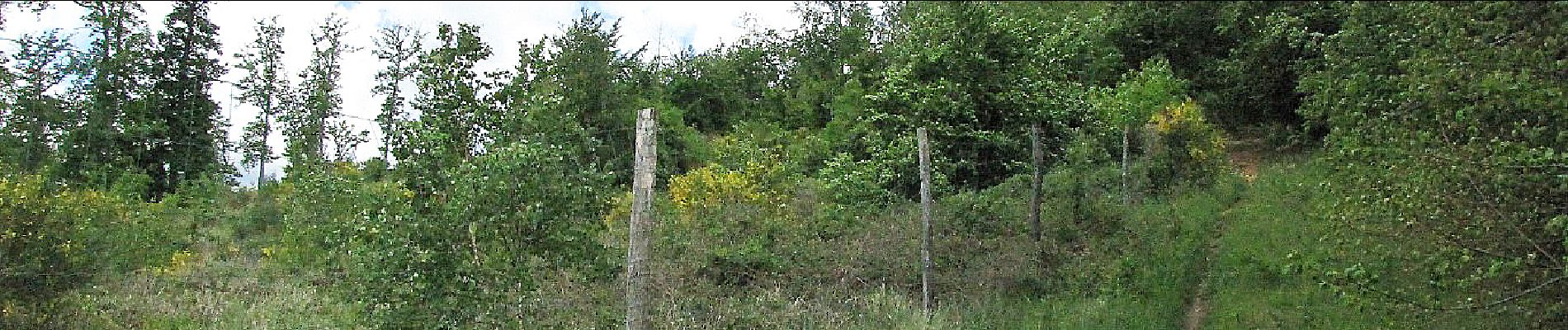 Point d'intérêt Saint-Crépin-aux-Bois - Point 23 - Photo