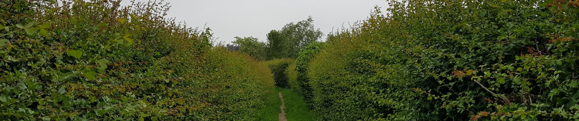 Tour Wandern Lüttich - Rocourt - Oupeye - Rocourt  - Photo