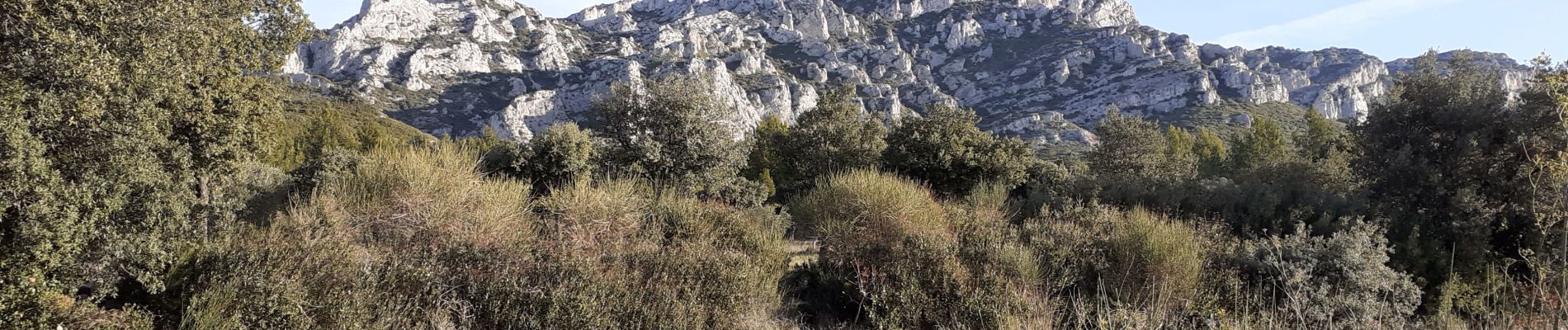 Excursión Senderismo Aureille - Aureille Pas de la Figuiere - Photo