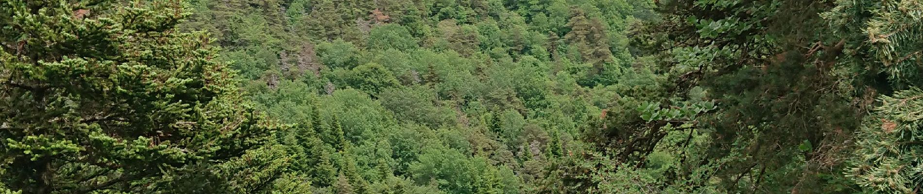 Percorso Marcia Murol - Beaume le Froid- Lac Chambon  - Photo