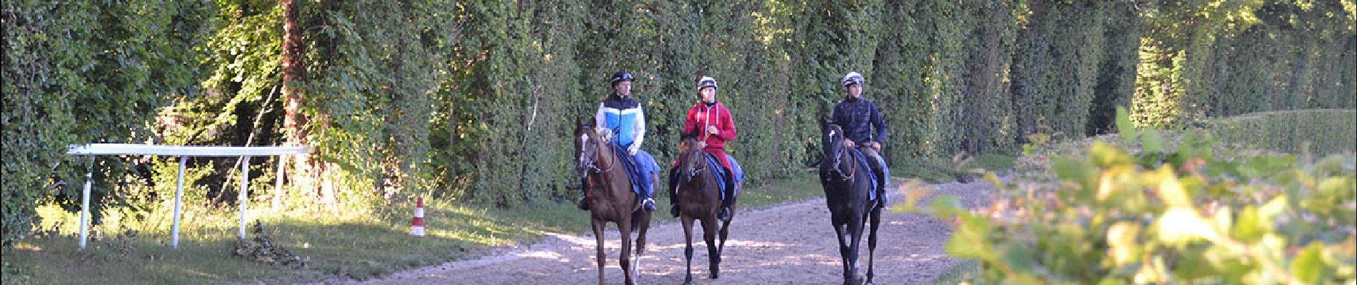 POI Lamorlaye - Entrainement des chevaux au galop - Photo