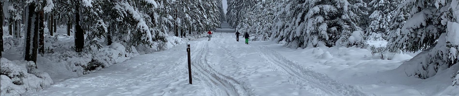 Trail Snowshoes Malmedy - Randonnée raquettes Mont Spinette-Malmédy - Photo