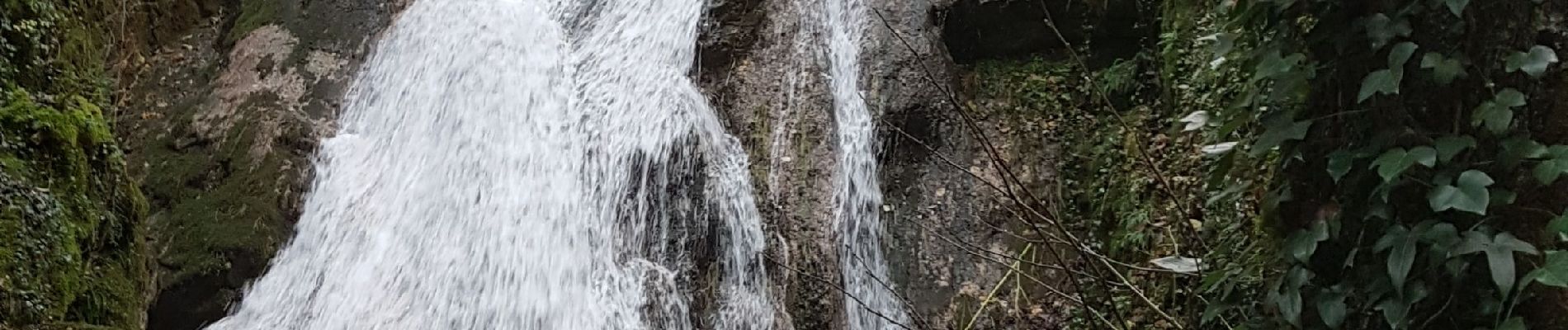 Percorso Marcia Groissiat - Groissiat pied de mule Cascade  - Photo