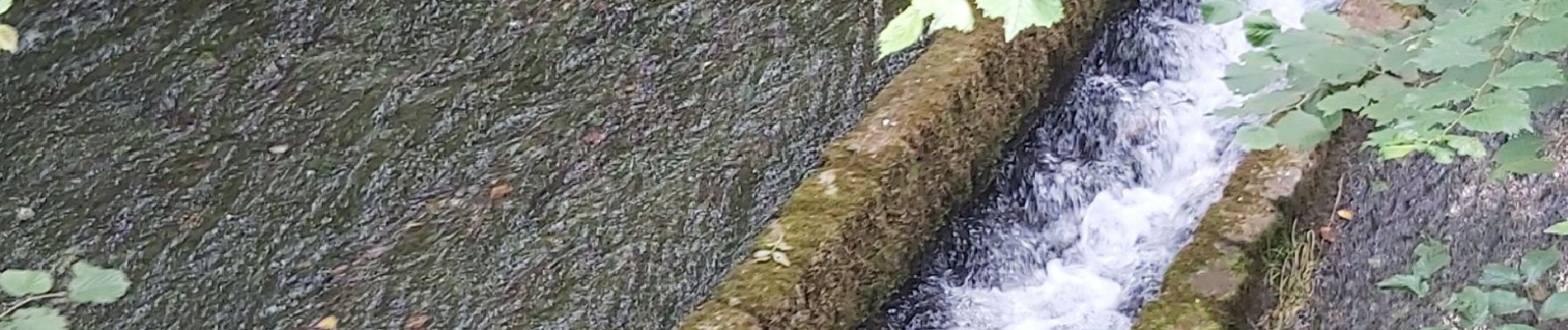 Tocht Stappen Bailleul-la-Vallée - Bailleul la Vallée : la randonnée qui monte  - Photo