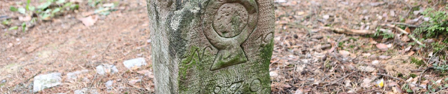 Randonnée A pied Grub a.Forst - Krümmelsbach Rundweg (Grub am Forst) - Photo