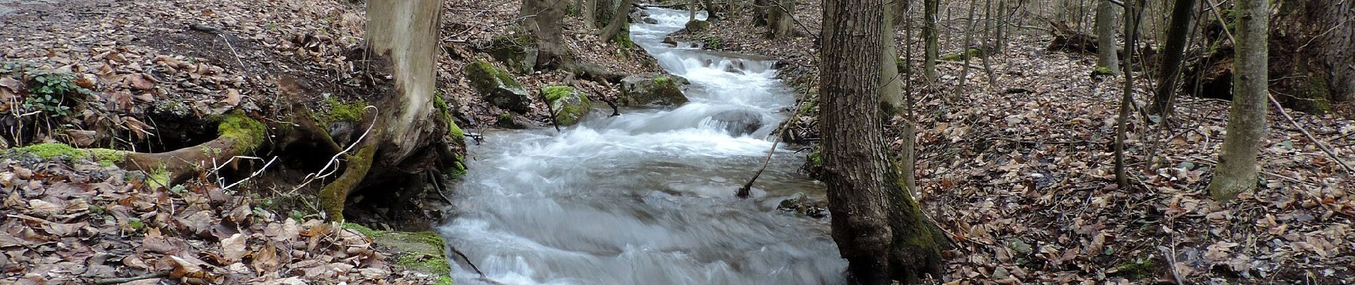 Excursión A pie okres Košice - okolie - Náučný chodník Zádielska tiesňava - Photo