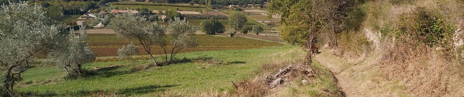 Tocht Stappen Malaucène - Malaucene-Crestet-Vaison la Romaine  - Photo