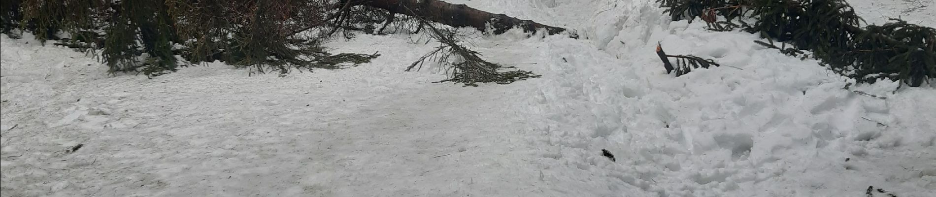 Excursión Senderismo Waimes - tout petit tour dans 50 cm de neige fondante - Photo