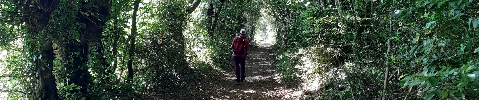 Tour Wandern Ferrières-Saint-Hilaire - ferrière st hilaire - Photo