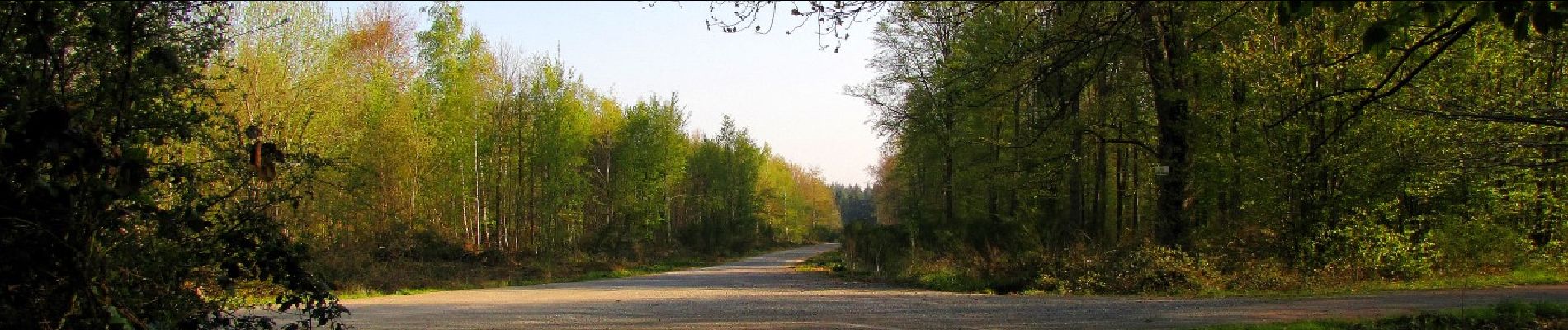 Point d'intérêt Puiseux-en-Retz - Point 14 - Photo