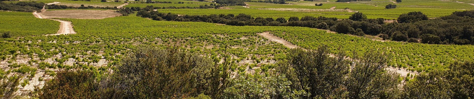 Randonnée V.T.T. Rochefort-du-Gard - Rochefort au grès des vents et du hazard - Photo