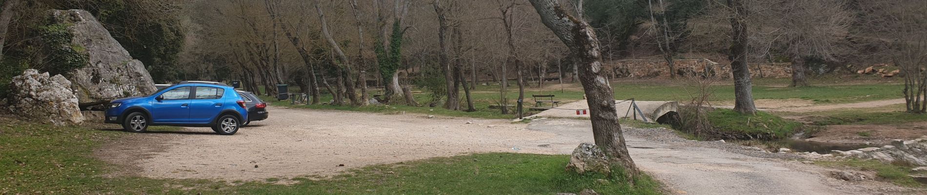 Tour Wandern Saint-Zacharie - la forêt du Defens - Photo