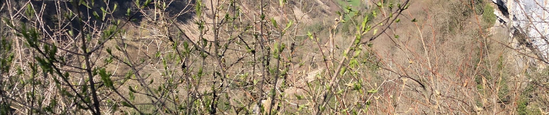 Tour Wandern Baume-les-Messieurs - Baumes les Messieurs par le bord.  - Photo