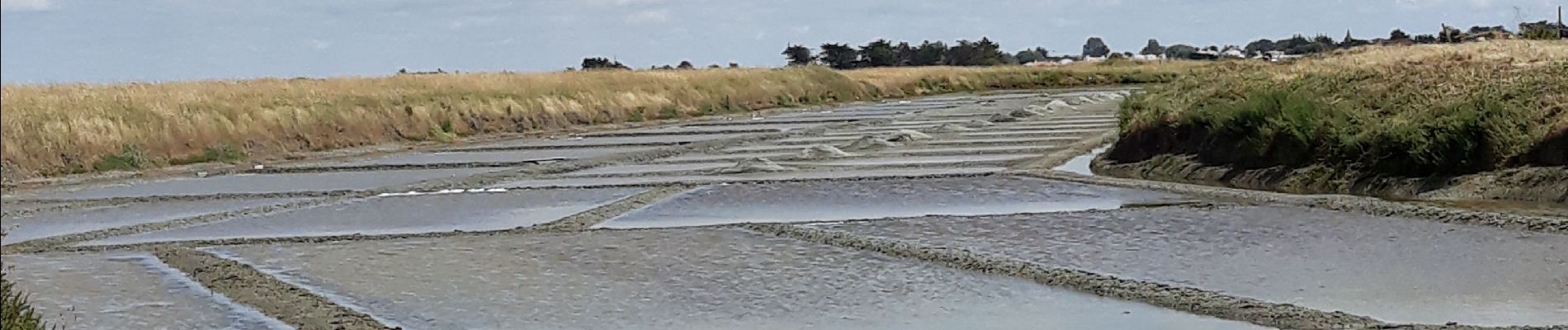 Tocht Stappen L'Épine - EPINE 12 JUIN 2019 - Photo