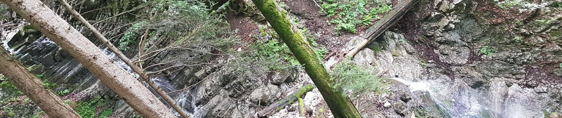 Tour Wandern Saint-Laurent-du-Pont - Le cul de la lampe par le Rocher du Pin - Photo