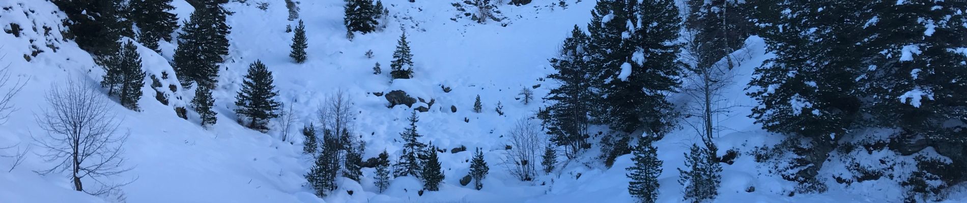 Randonnée Marche Chamrousse - Lac Robert raquettes  - Photo