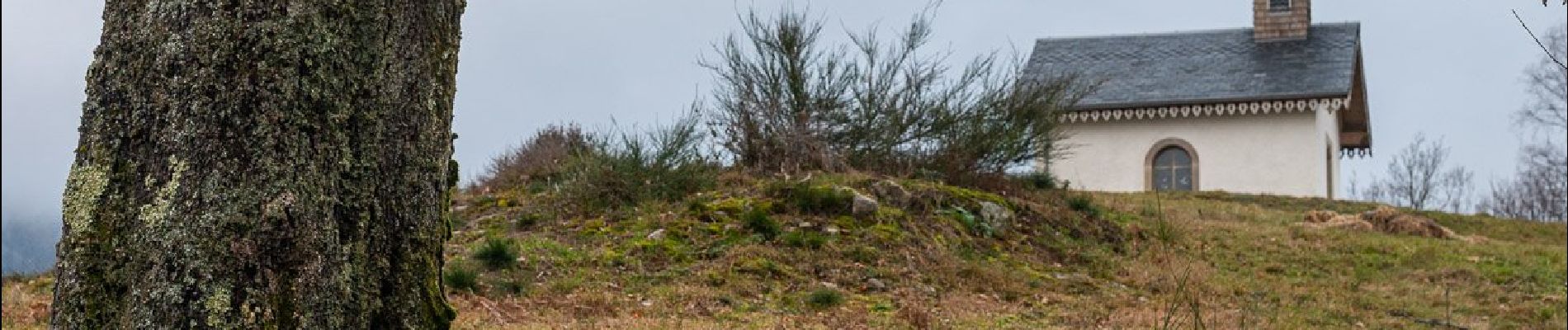 Randonnée Marche Le Ménil - Boucle de La Chapelle de la Pitié  - Photo