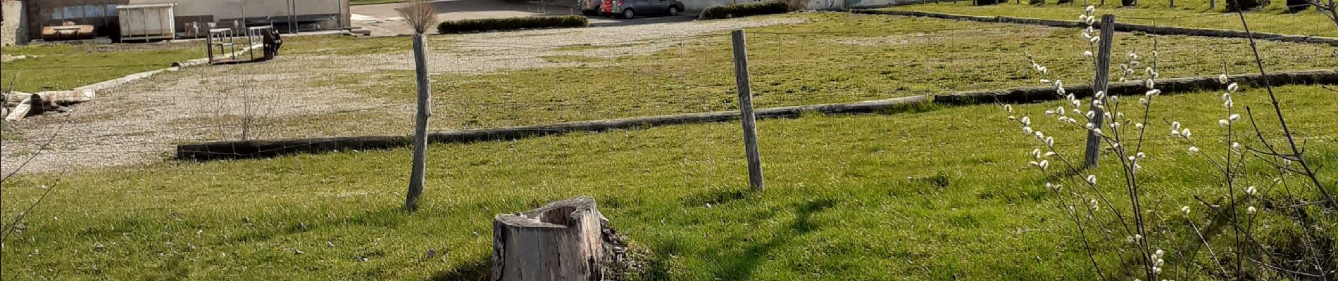 Excursión Marcha nórdica Perrancey-les-Vieux-Moulins - domaine de Montauban  - Photo