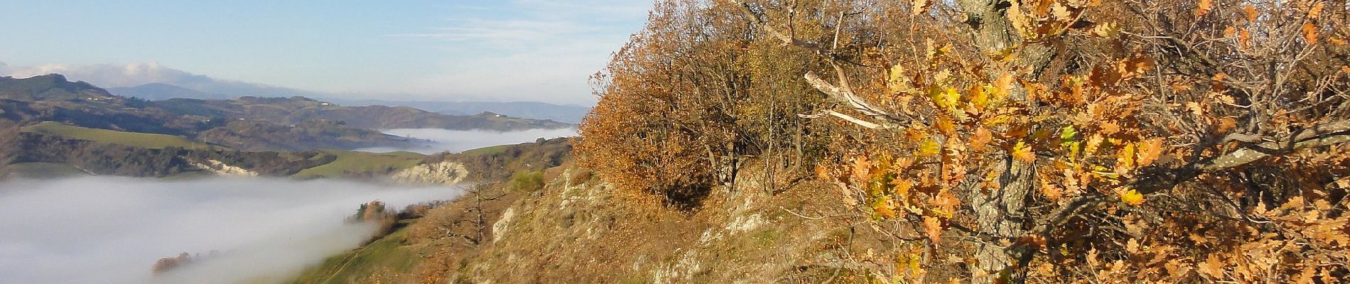 Trail On foot Borgo Tossignano - Corolla delle Ginestre - Photo