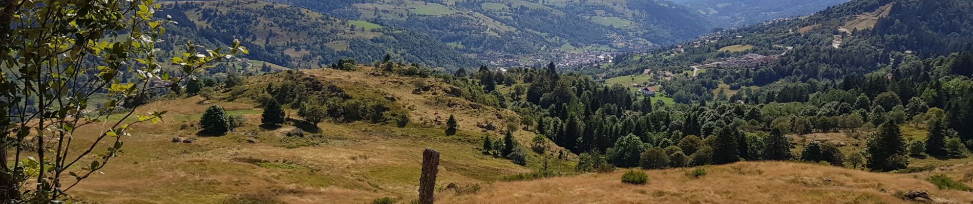 Randonnée Vélo électrique La Bresse - petit tour de la bresse - Photo