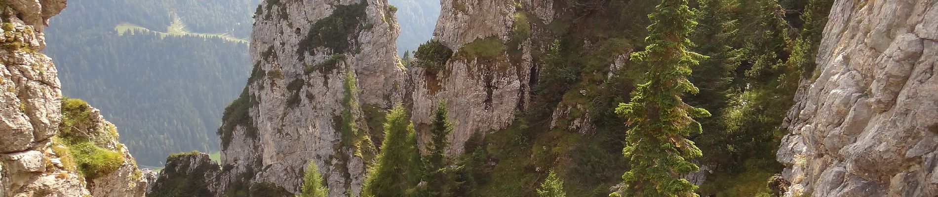 Tour Zu Fuß Primiero San Martino di Castrozza - Sentiero delle Regade - Photo