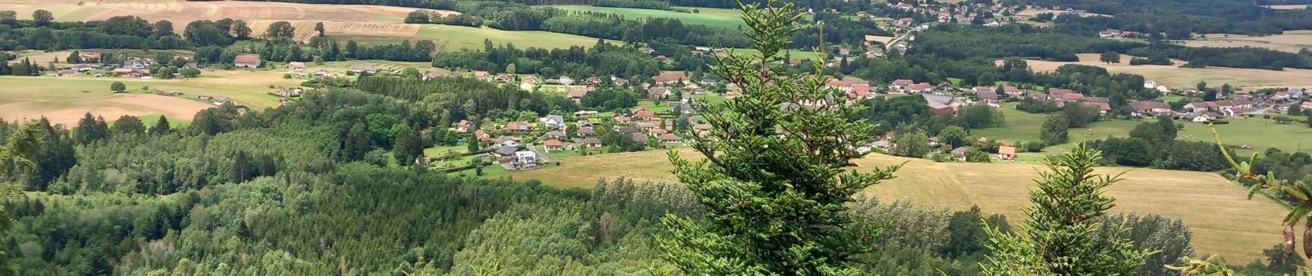 Excursión Senderismo La Bourgonce - la bourgonce  - Photo