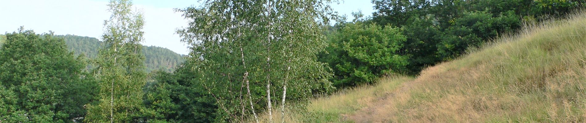 Tour Wandern Trooz - Gare Trooz Le Péry La Lonhienne - Photo