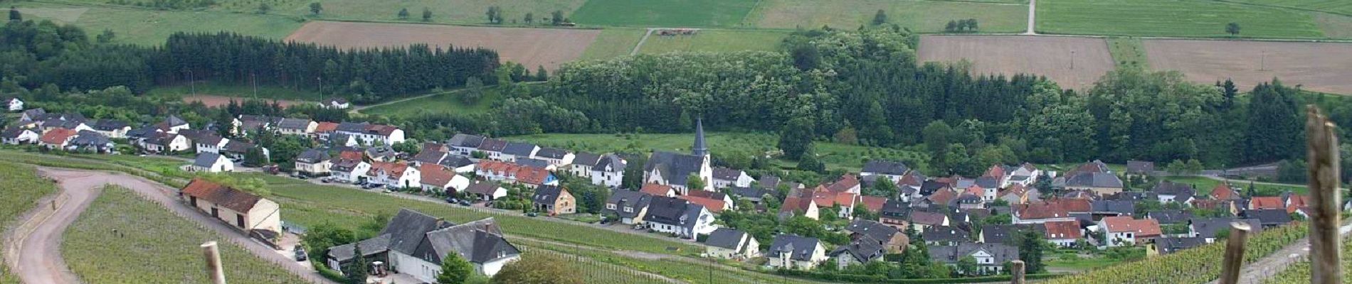 Trail On foot Schoden - Saar-Riesling-Steig - Photo