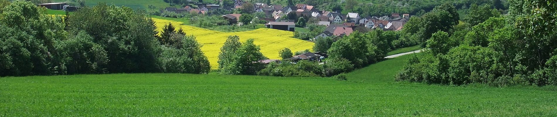 Tour Zu Fuß Bad Mergentheim - Sailbergweg - Photo