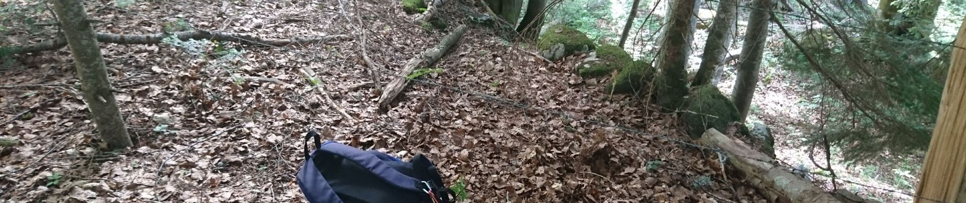 Tour Wandern Septmoncel les Molunes - 190627 - Jura - GdCermoi - Photo