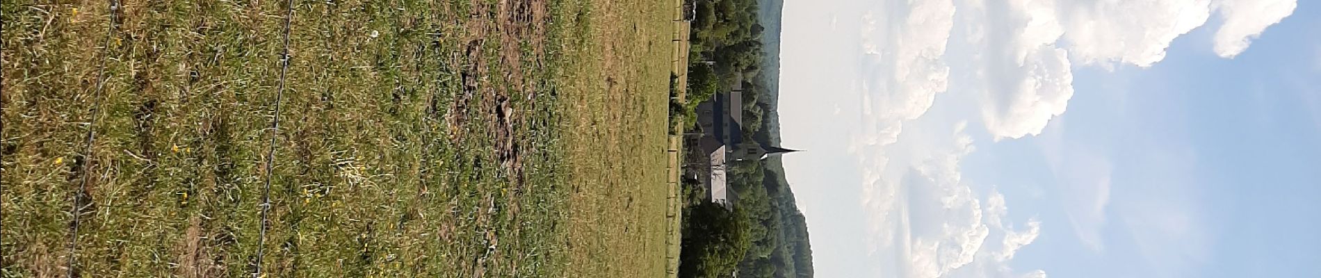 Tour Elektrofahrrad Wellin - Froidlieu Belvaux - Photo