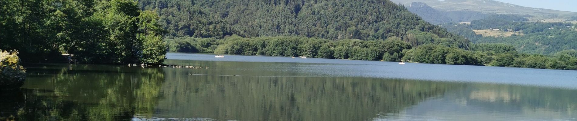 Excursión Senderismo Chambon-sur-Lac - lac chambon  - Photo