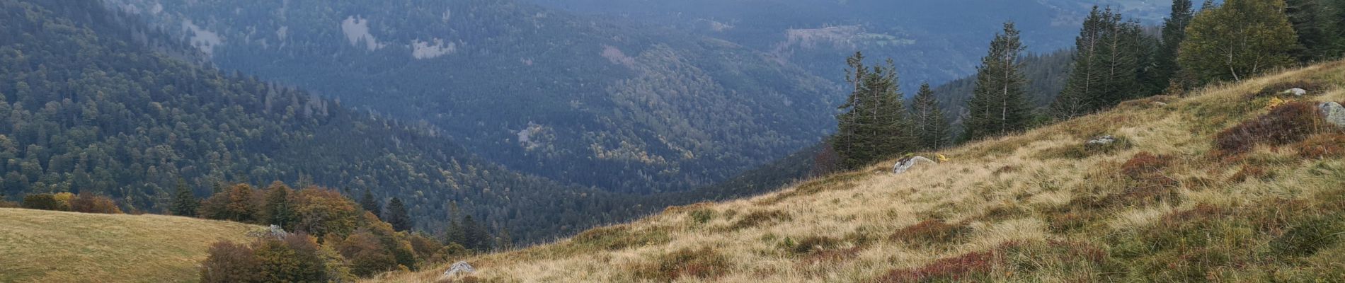 Tocht Stappen Metzeral - Tour du Petit Hohneck - Photo