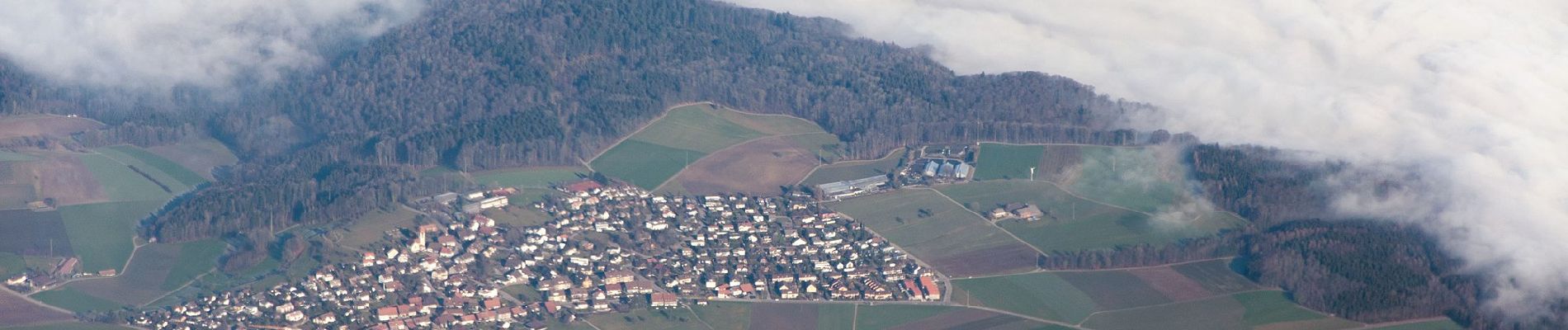 Tocht Te voet Dübendorf - Gfenn - Effretikon - Photo