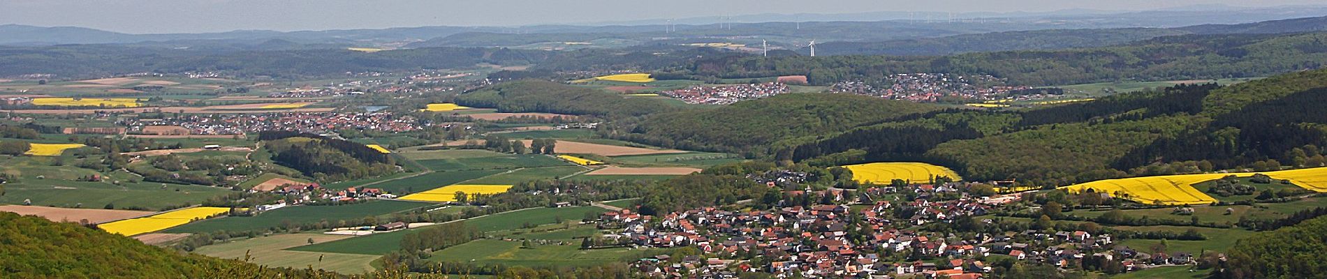 Percorso A piedi Gladenbach - Rimbergweg - Photo