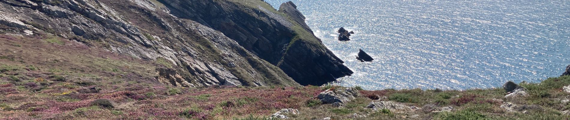 Tour Wandern Crozon - Cap de la Chevre  - Photo