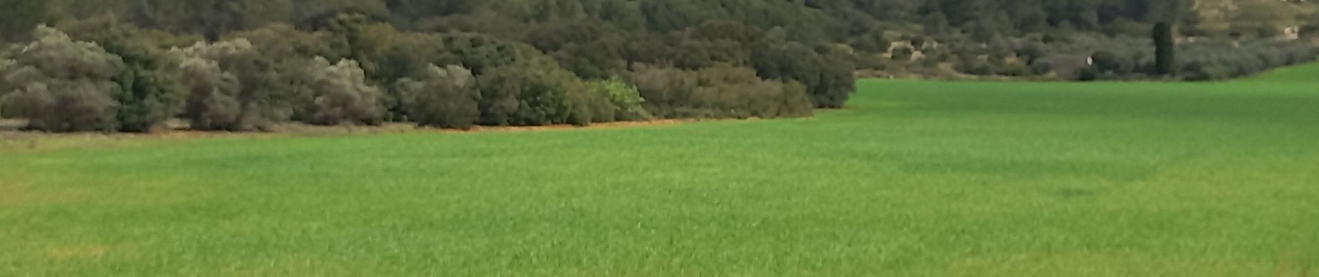 Tour Wandern Lançon-Provence - La Fare Lançon - Photo