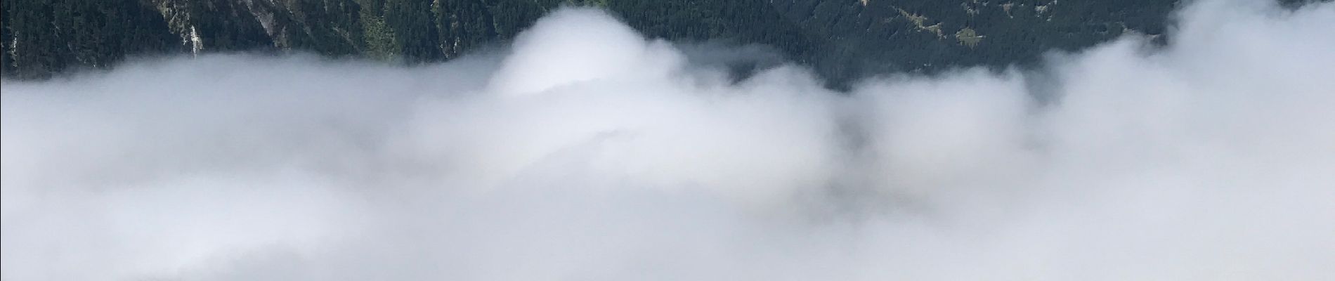 Tour Wandern Peisey-Nancroix - Le Col d’Entreport - Photo