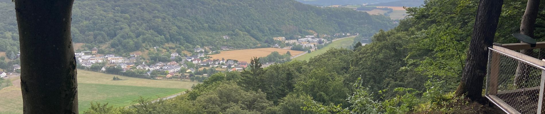 Percorso Marcia Echternach - Trek Rchternacht 2  - Photo