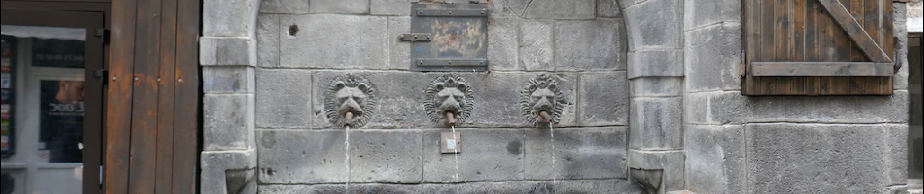 POI Clermont-Ferrand - fontaine des lions - Photo