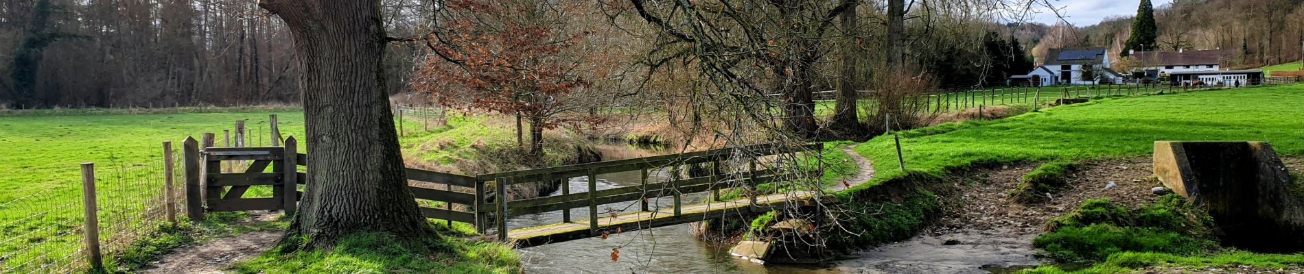 Tocht Stappen Huldenberg - Huldenberg, Up & Down - Photo