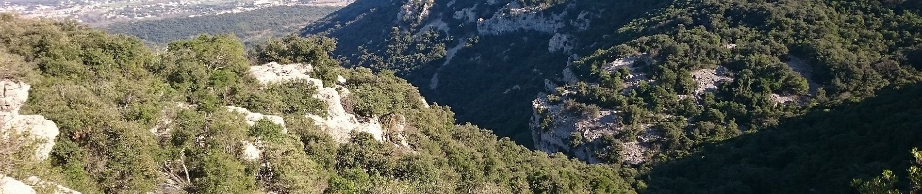 Randonnée A pied Liouc - Les chênes de Coutach - Photo