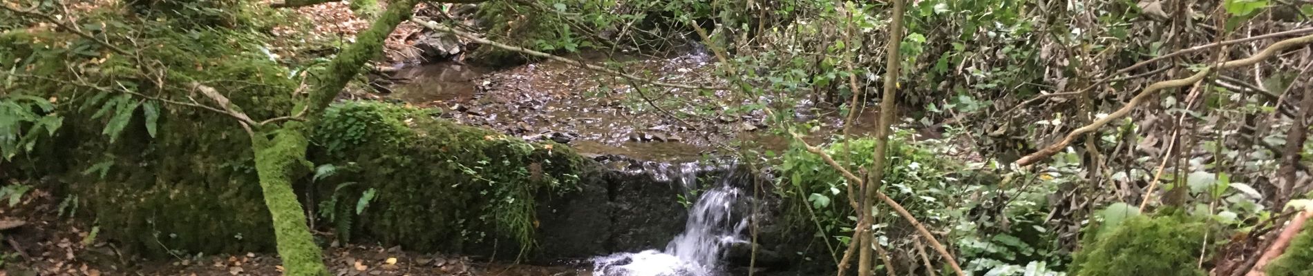 Percorso Marcia Hastière - Waulsort / 2019-07-14 / 10 km - Photo