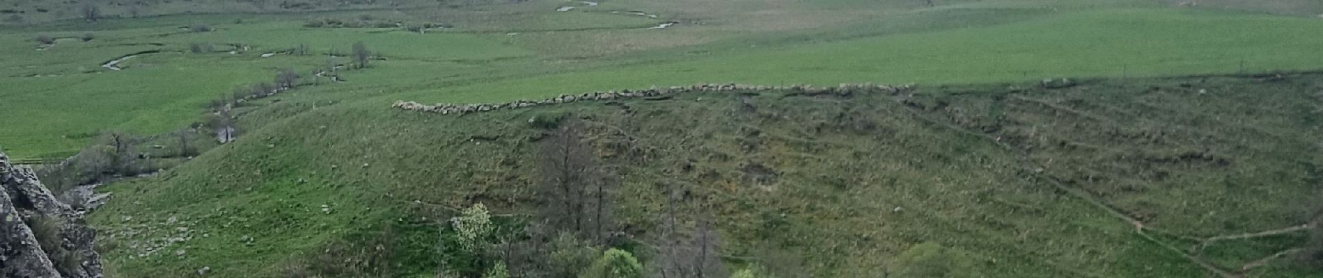 Tocht Stappen Nasbinals - boucle nasbinal - Photo