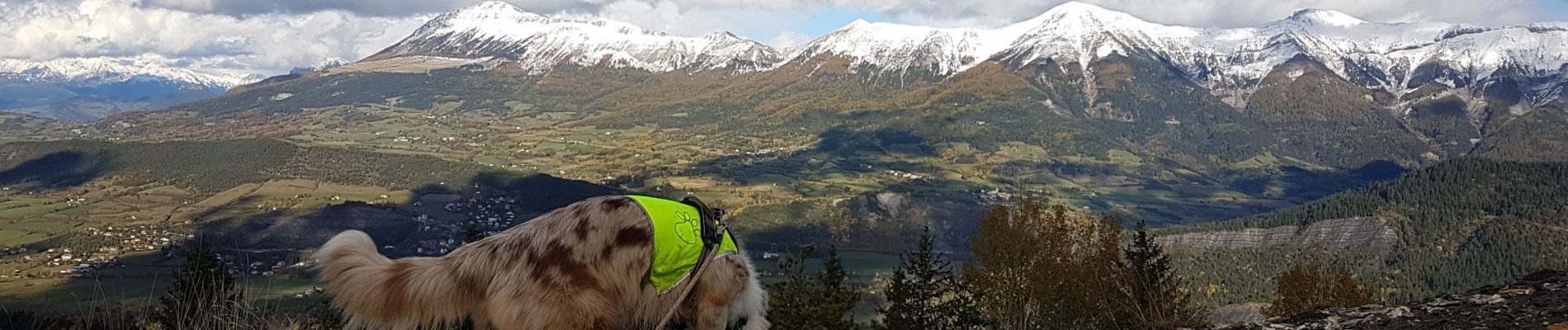 Trail Walking Auzet - Col du Fanget - Photo