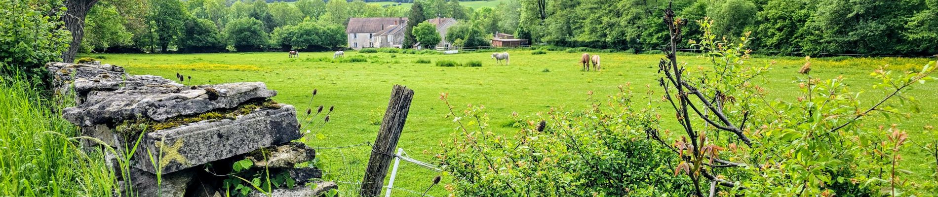 Tour Wandern Humes-Jorquenay - Boucle 26 km autour de Humes - Photo