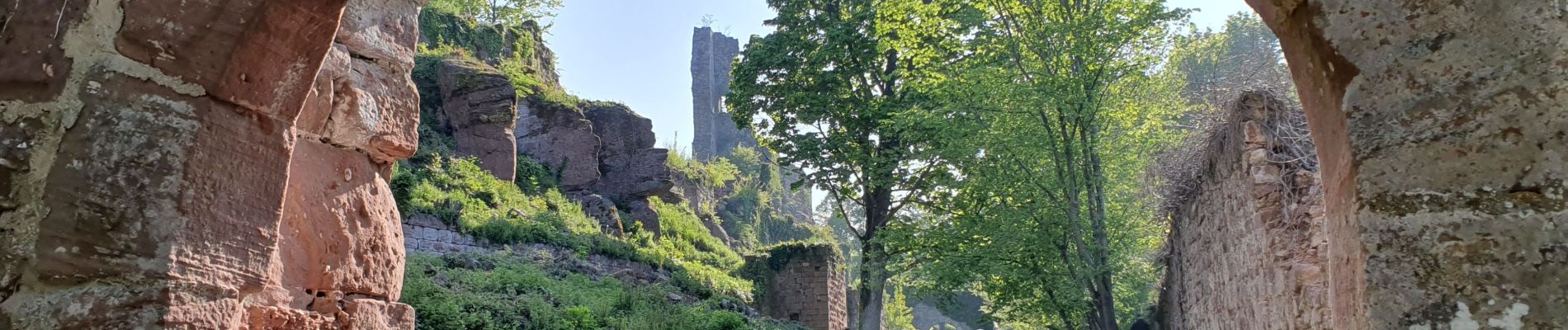 Excursión Senderismo Rosheim - Guirbadem et visite - Photo